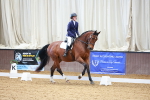 SBM_001913