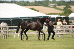 SBM_09107