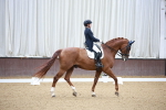 SBM_010185