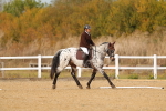 SBM_010408