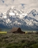 Grand Tetons Mormon Row 2 11 x 14
