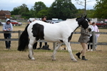 WJ6_8367