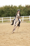 SBM_007668