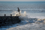 Aberaeron portfolio