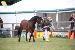 SBM_09765