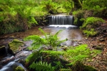 Little Woodland Waterf...