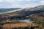 Trentabank reservoir from Macclesfield Forest