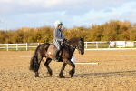 SBM_003295
