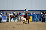 3HRodeo8-11-25_PRCASteer_05437_