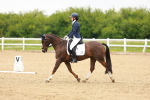 SBM_004979