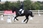 SBM_020319