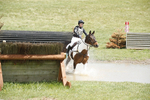 BVHT 140517  IXC -299