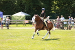SBM_15598