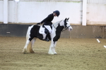 SBM_002446