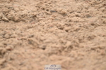 240505A-144540-06553