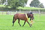 SBM_64965
