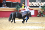 SBM_16657
