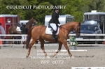 BPP_6072