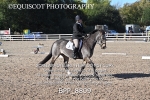 BPP_8809