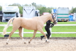 SBM_04448