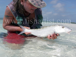 Captured Bonefish 2010.