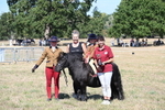 WJ6_8122