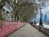 Covid Heart Wall
