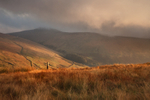Gate posts at Dawn