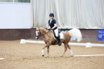 SBM_002921