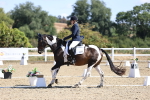 SBM_013233