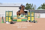 BPP_6401