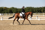 SBM_006847