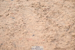 240720A-090555-13249