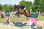 369-GIDO_G-Sally_Chamberlain-SUNTrotUp+SJ portfolio
