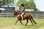 SBM_06840