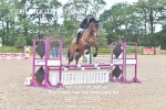BPP_2599