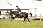 SBM_20113