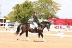 SBM_02049