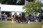 SBM_15344