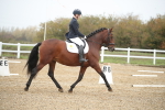 SBM_001640