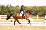 SBM_012894