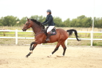 SBM_004932