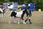 WJ6_6475