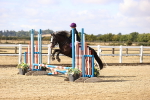 SBM_006159