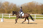 SBM_003593