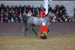 SBM_003443