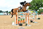 Cls 12, 2 Star Big Tour Grand Prix Jump Off and Presentations portfolio