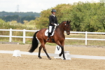 SBM_000966