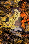 20100826_0175_2
