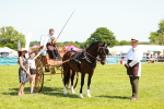 SBM_06696